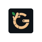Ginger Wallet